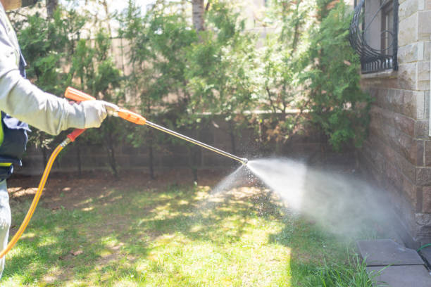 Best Mosquito Control  in Rockwell, NC